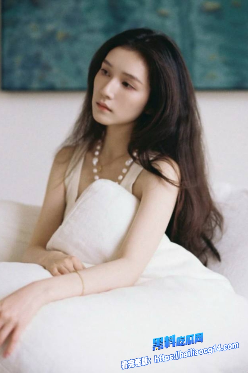 顶流明星陈思诚3