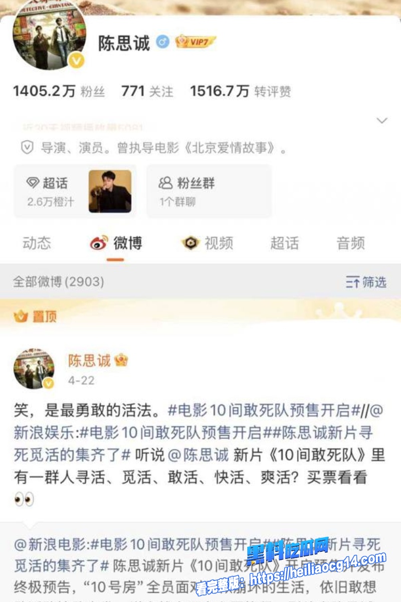 顶流明星陈思诚9