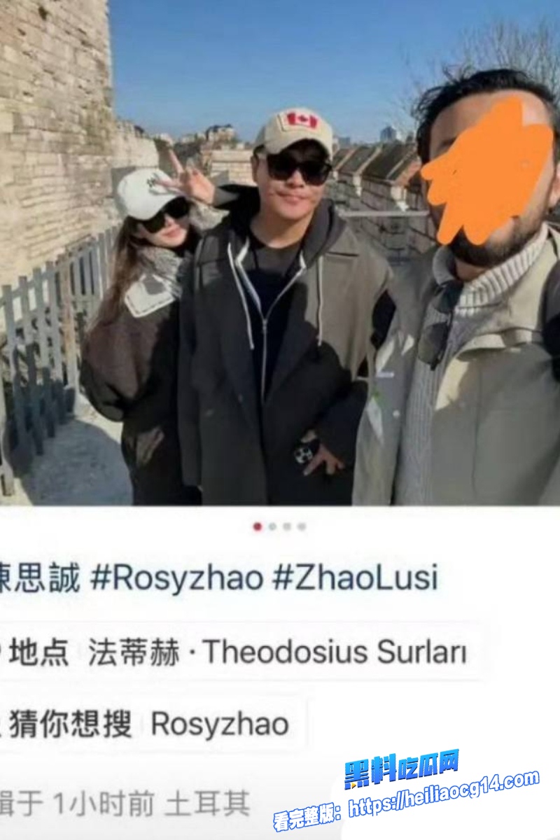 顶流明星陈思诚12