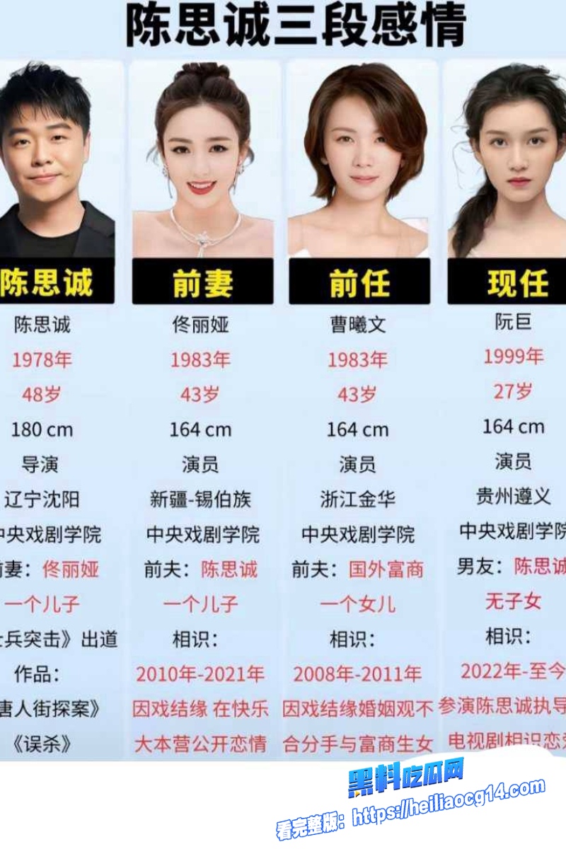 顶流明星陈思诚13