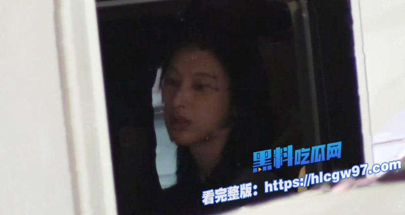 浪姐御姐女明星张俪车内约会小鲜肉杨旭文 19