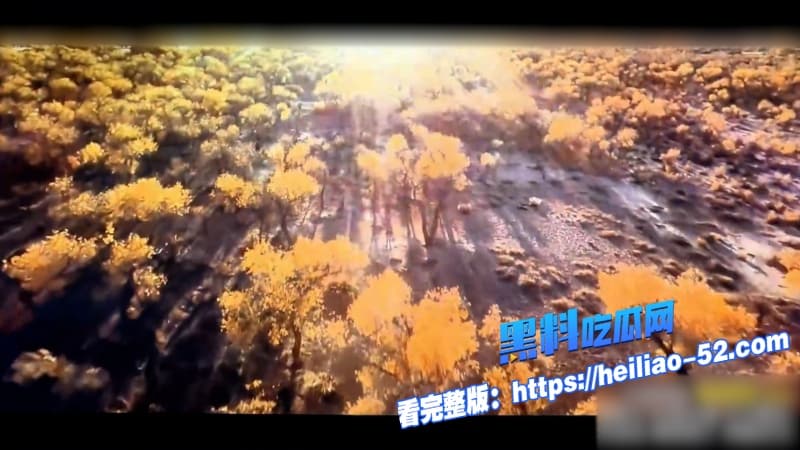 镖人风起大漠2026最燃国产武侠大片免费在线观看吴京谢霆锋刀锋对决 4