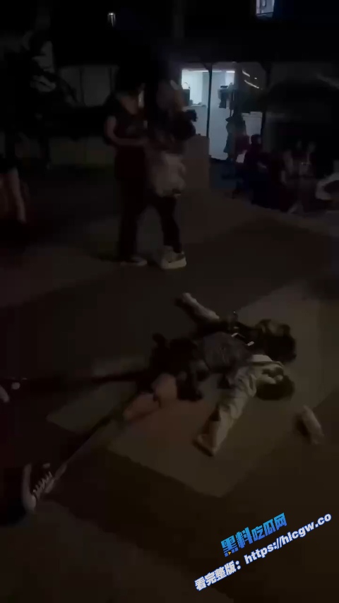 2hollis 广州演唱会教导粉丝吸毒 当场导致一名精神小妹送医！6
