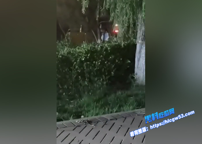 山东东营55岁的老不休 在小树林和别人打野战 不雅视频被人拍摄曝光 现在的人是真开放1