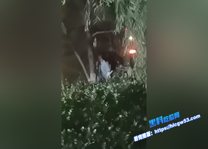 山东东营55岁的老不休 在小树林和别人打野战 不雅视频被人拍摄曝光 现在的人是真开放2
