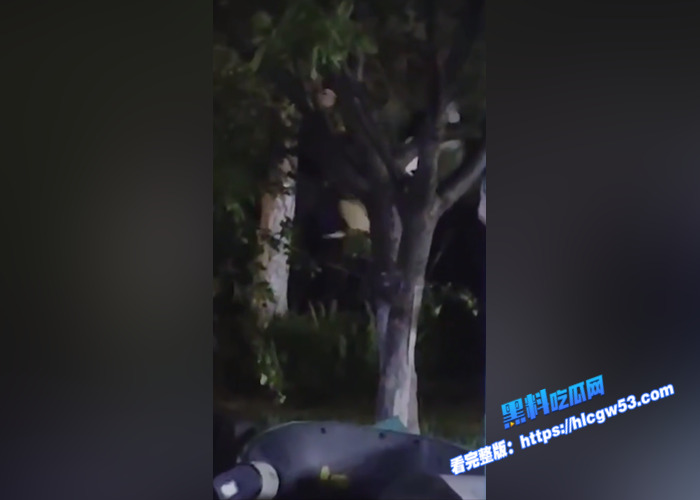 山东东营55岁的老不休 在小树林和别人打野战 不雅视频被人拍摄曝光 现在的人是真开放3
