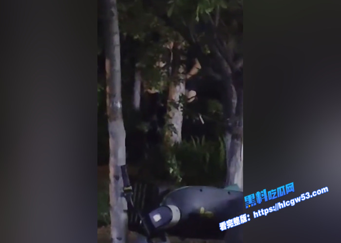 山东东营55岁的老不休 在小树林和别人打野战 不雅视频被人拍摄曝光 现在的人是真开放4