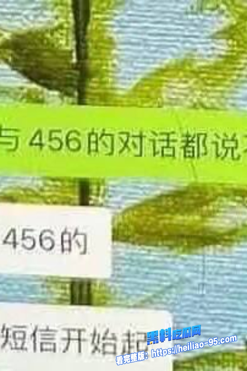 顶流明星孟美岐74