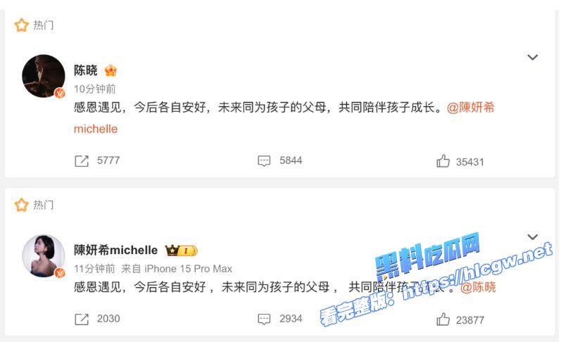陈妍希与陈晓离婚.jpg