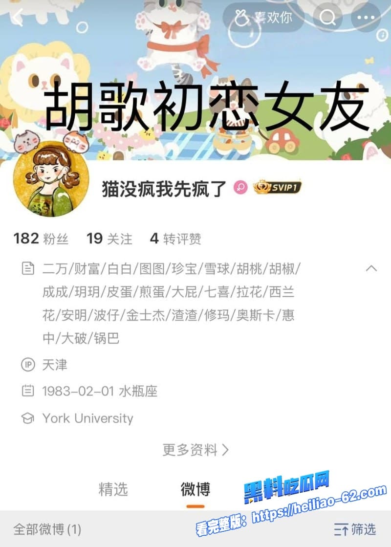 胡歌早年恋情大曝光初恋女友再曝更多聊骚细节狗仔挖早年暧昧书信劈腿朱丹脚踏两条船11