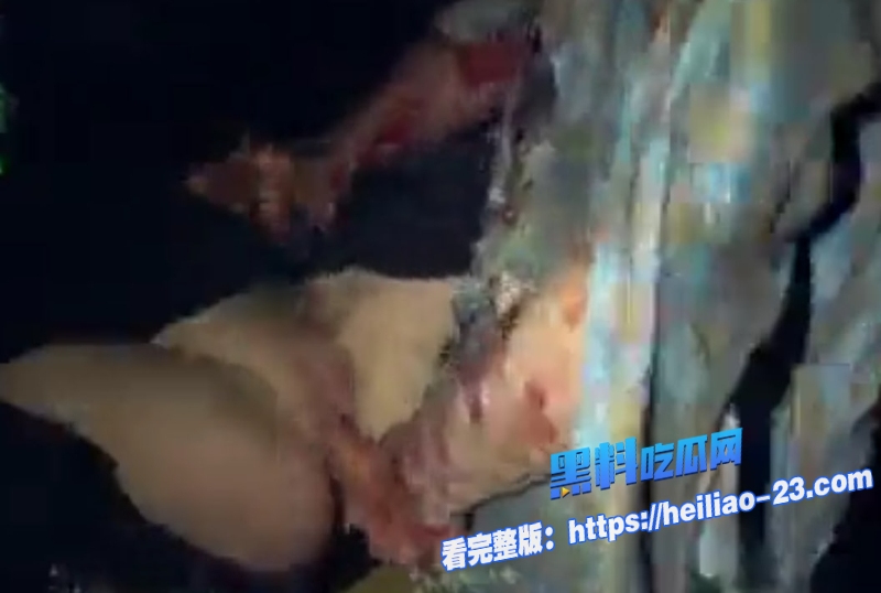 僵尸末日起源精英女指挥官遭遇丧尸群苍白腐朽巨根无情摧毁娇躯3