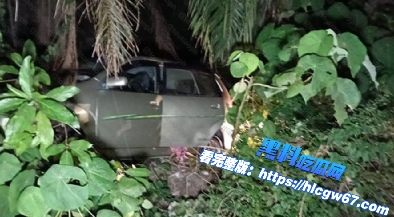 华裔男子运尸拒查逃逸 车内发现疑遭杀害华裔女子遗体 追逐中刺伤警员并抢枪逃逸01