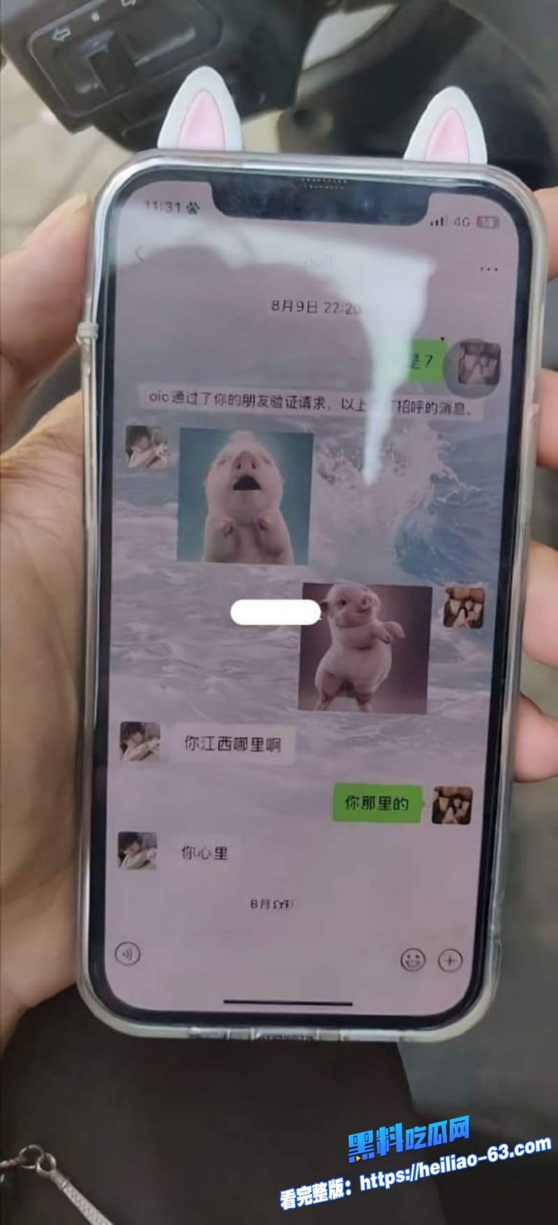 纯爱战神刘学文TT交友翻车痴情追半年白月光竟是顶级海后层层绿帽戴满头14