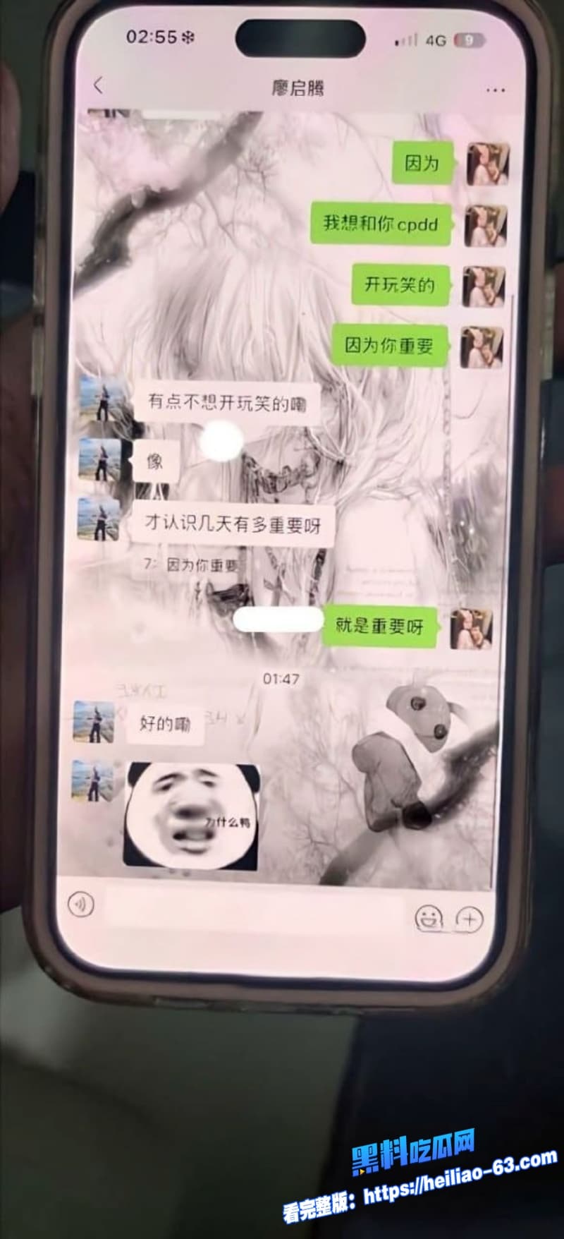 纯爱战神刘学文TT交友翻车痴情追半年白月光竟是顶级海后层层绿帽戴满头22