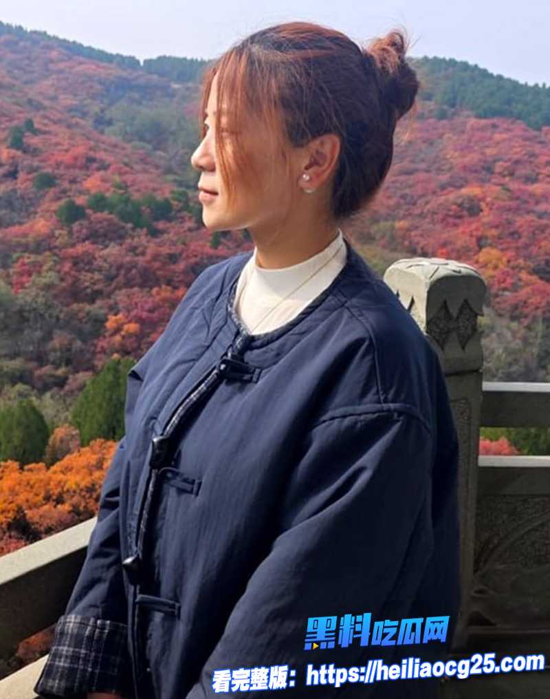 a气质人妻2