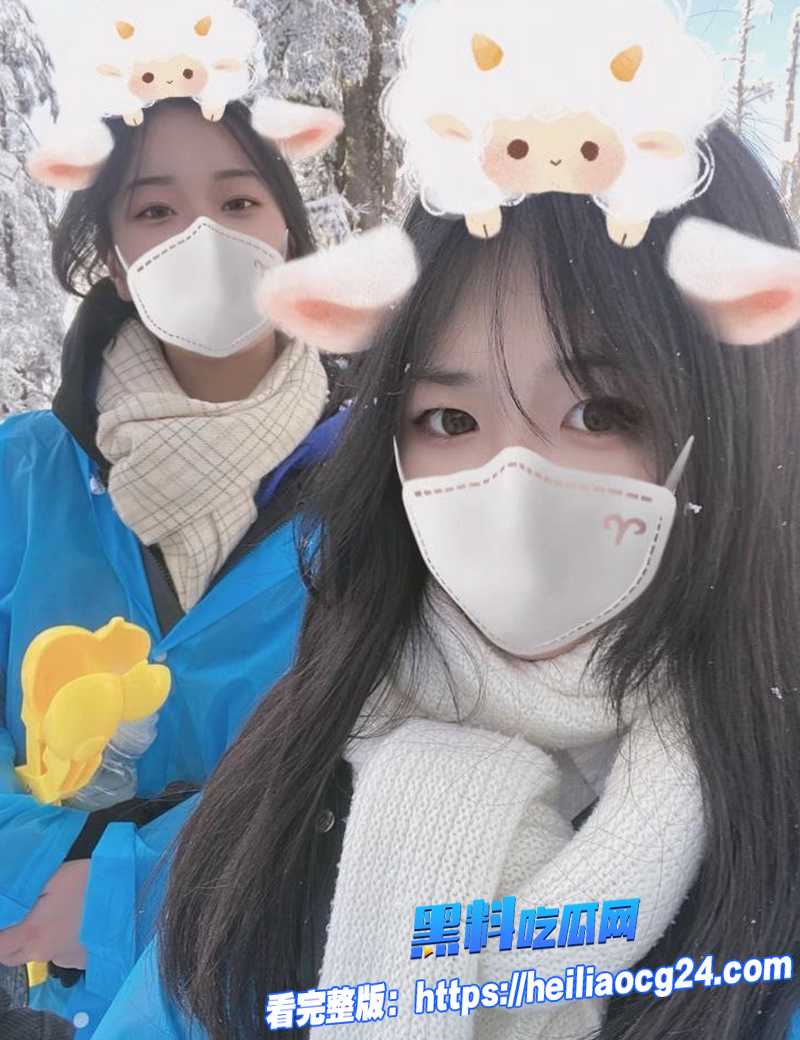 d车震的小母狗6
