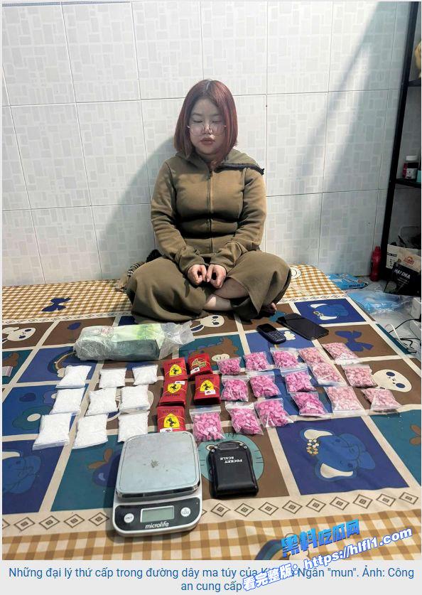 越南资讯：从柬埔寨跨国贩毒到越南，18岁辣妹竟是幕后主脑！2