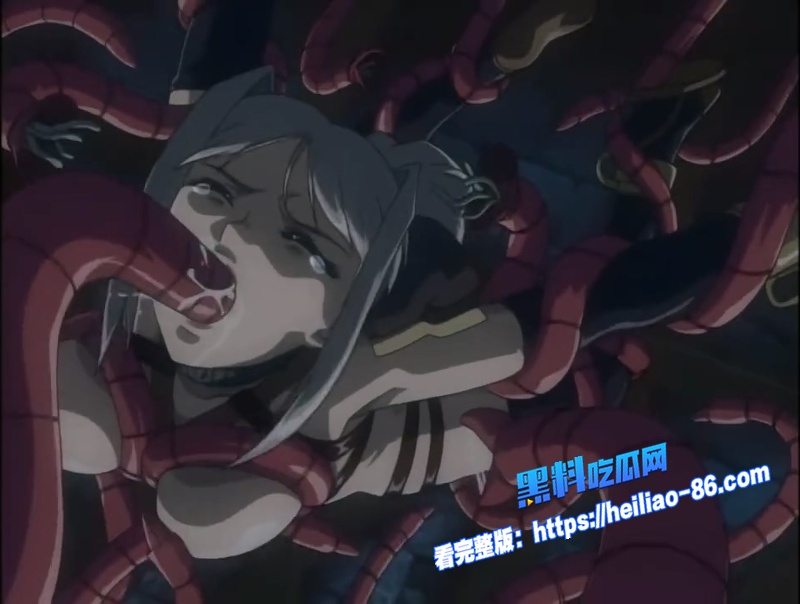 姬騎士莉莉亞1 完整版 3P异物插入精神崩溃 中文字幕 黑皮肤魅魔彻底榨杀圣骑士图6