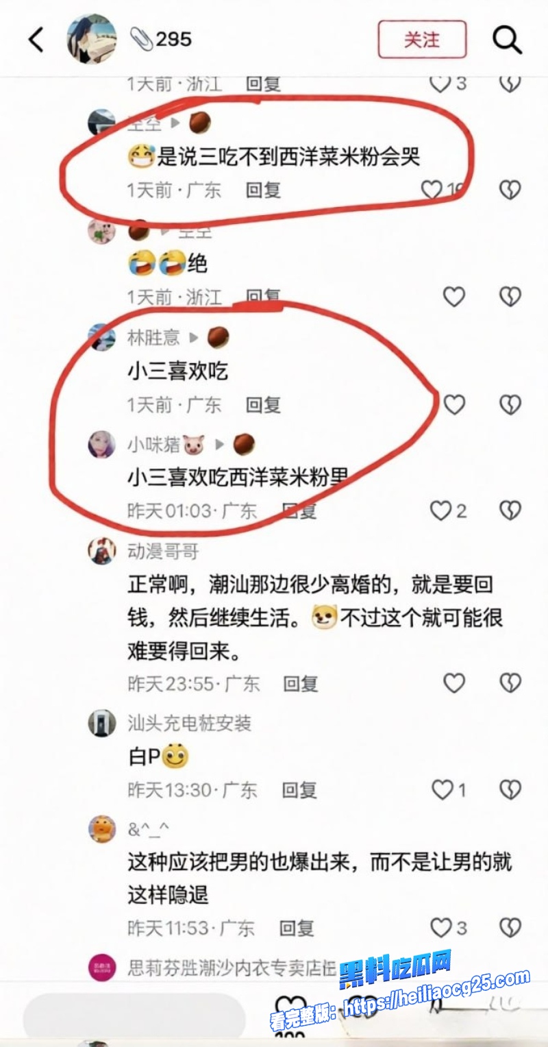 抖音潮汕网红叶哈哈25