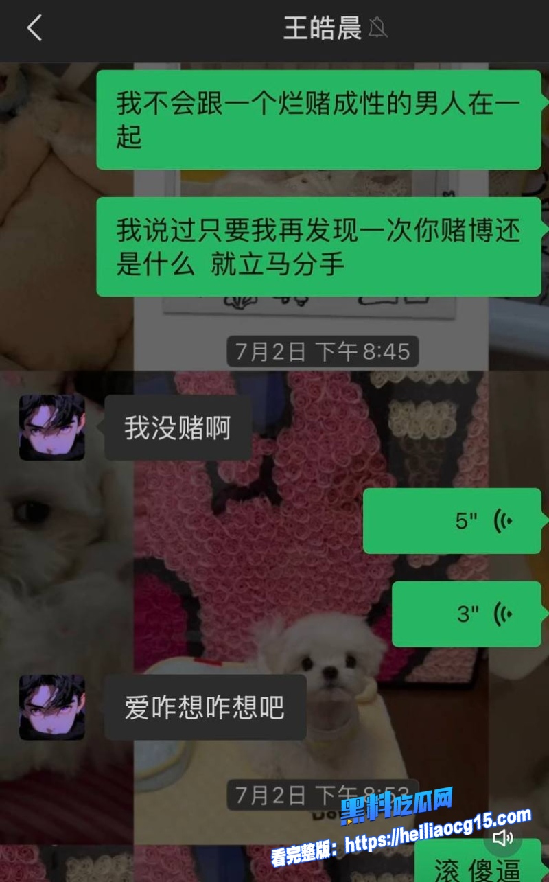 抖音男网红王皓晨24 抖音男网红王皓晨24