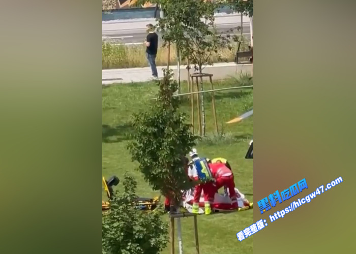 奥地利格拉茨市 一所学校发生枪击事件 造成11人死亡30人受伤 凶手曾遭遇霸凌 目前警方还在调查该事件原因1 奥地利格拉茨市 一所学校发生枪击事件 造成11人死亡30人受伤 凶手曾遭遇霸凌 目前警方还在调查该事件原因1