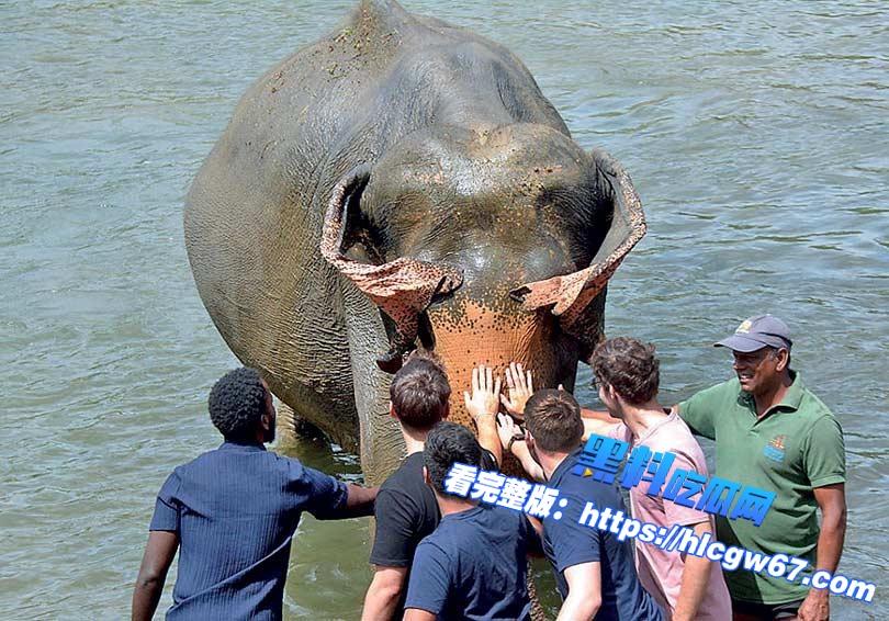 8月游客激增,赌场旅游业同步复苏01 8月游客激增,赌场旅游业同步复苏01