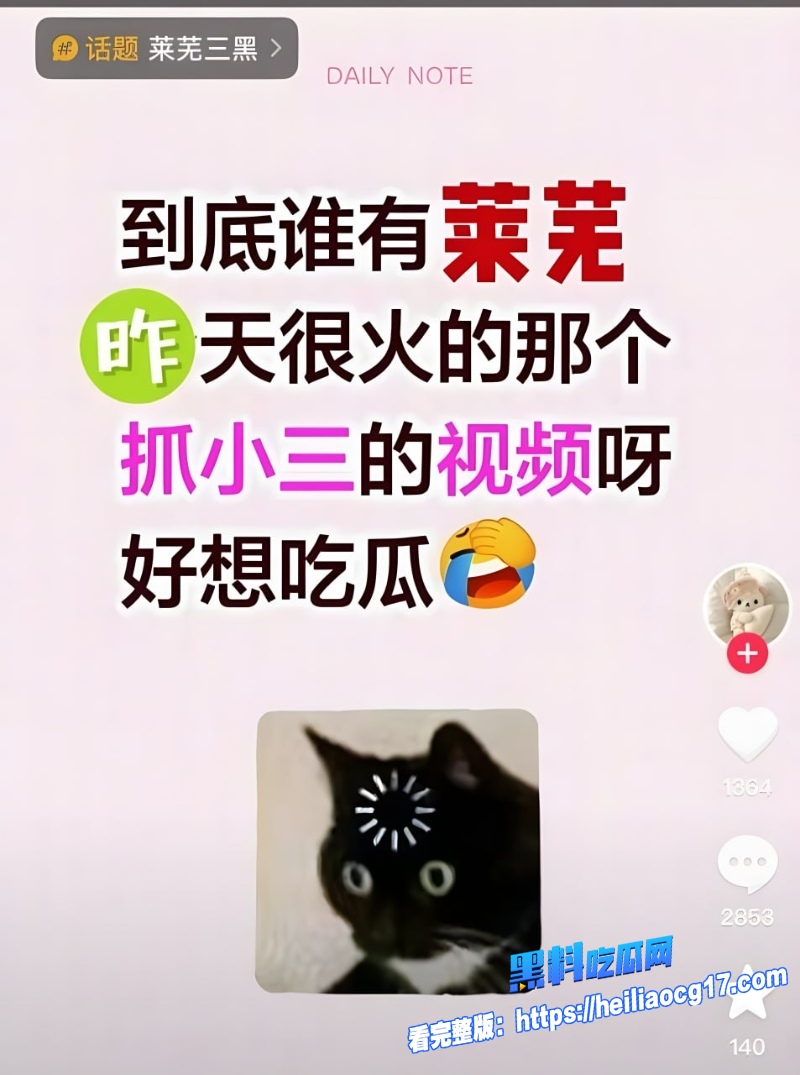 山东莱芜原配怒抓偷情小三1
