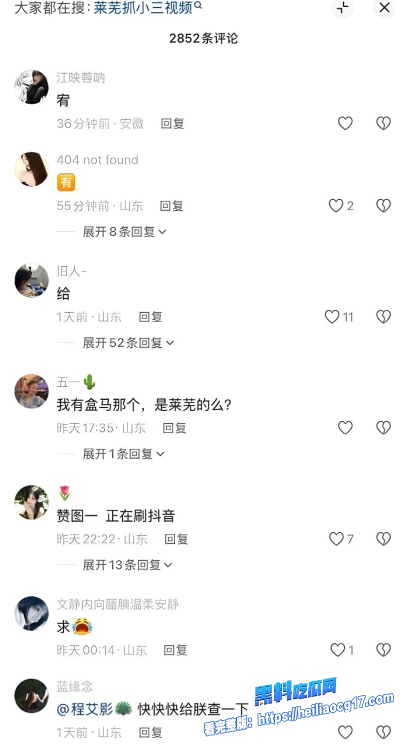 山东莱芜原配怒抓偷情小三2