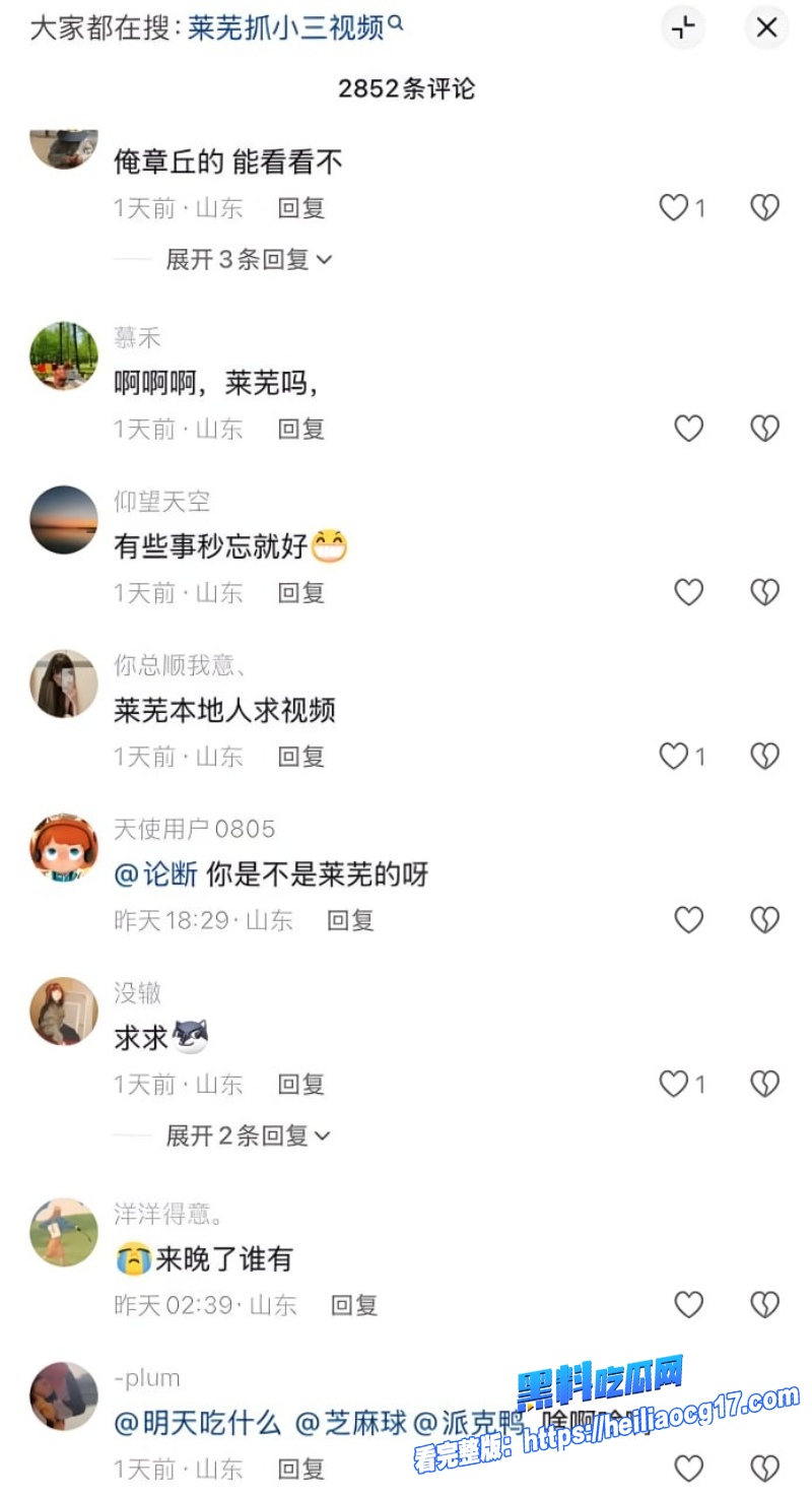 山东莱芜原配怒抓偷情小三3