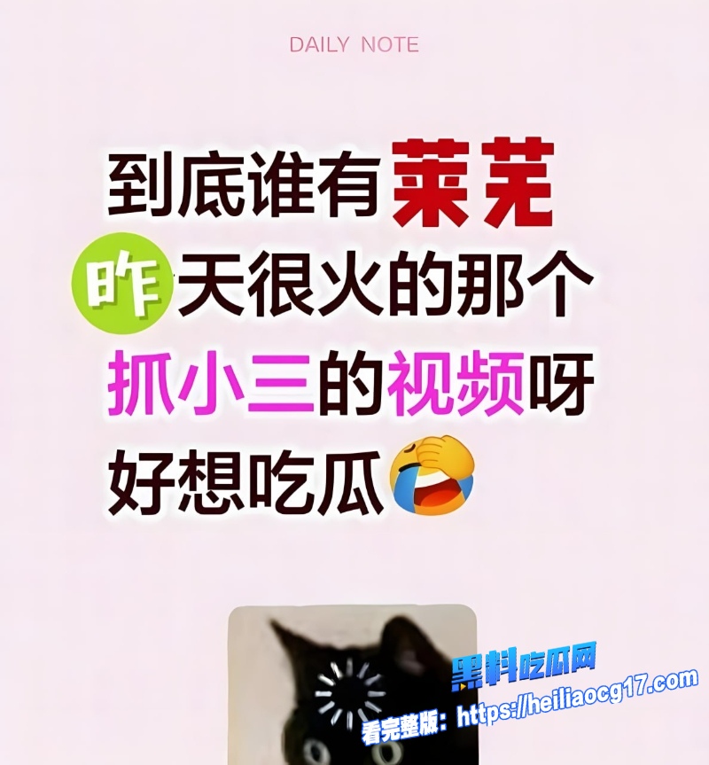 山东莱芜原配怒抓偷情小三7
