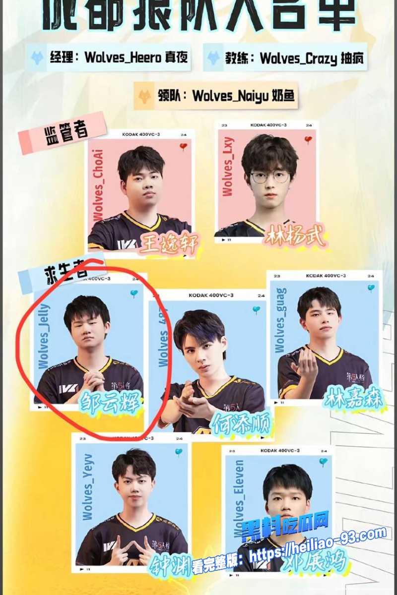 职业选手果冻12