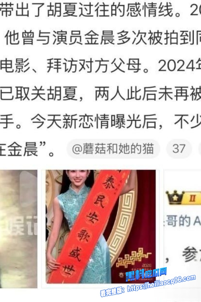 顶流明星金晨6 顶流明星金晨6