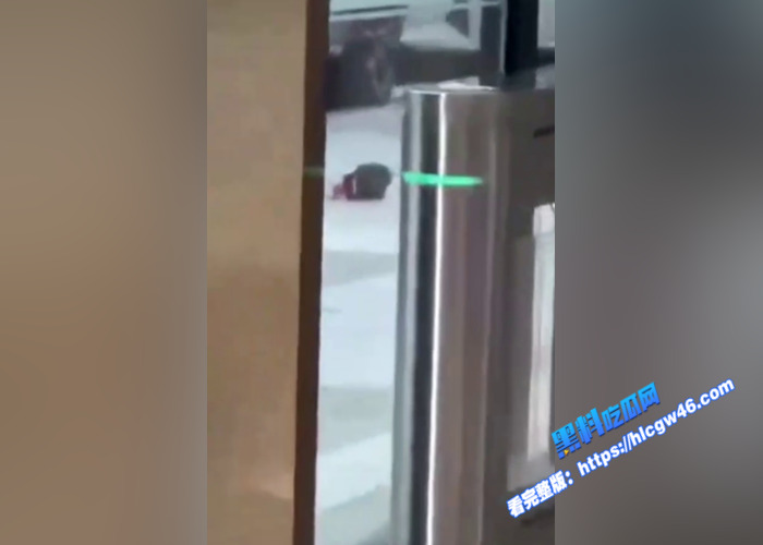 深圳龙华兴龙大厦 老板拖欠工资被员工砍下头并扔到楼下 现场视频流出 胆小误入1 深圳龙华兴龙大厦 老板拖欠工资被员工砍下头并扔到楼下 现场视频流出 胆小误入1
