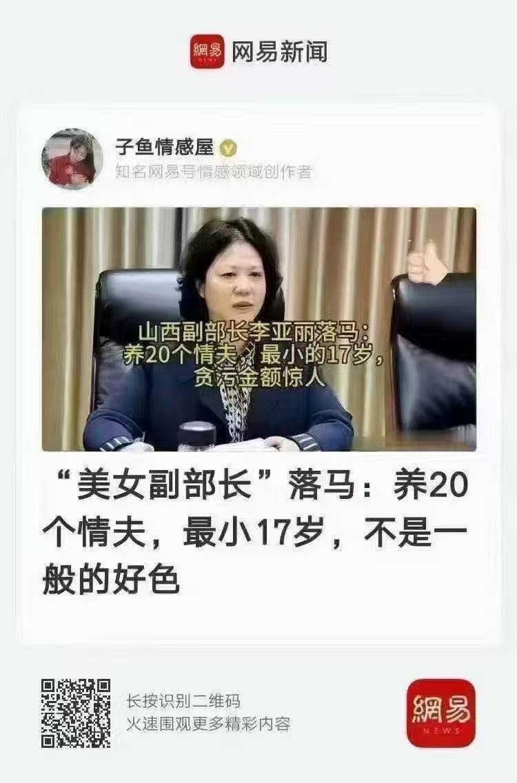 女贪官2