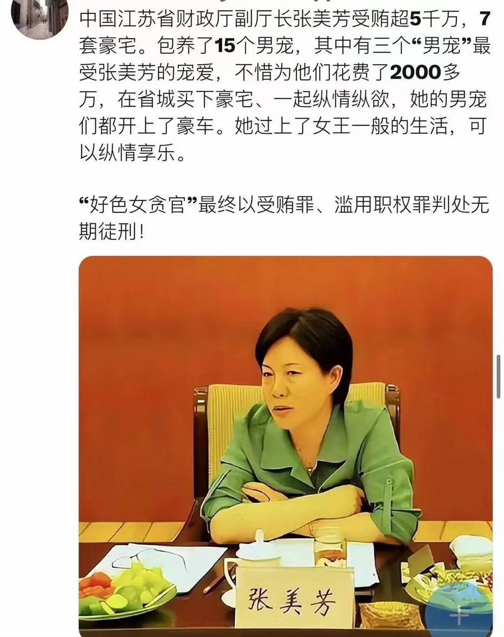 女贪官6