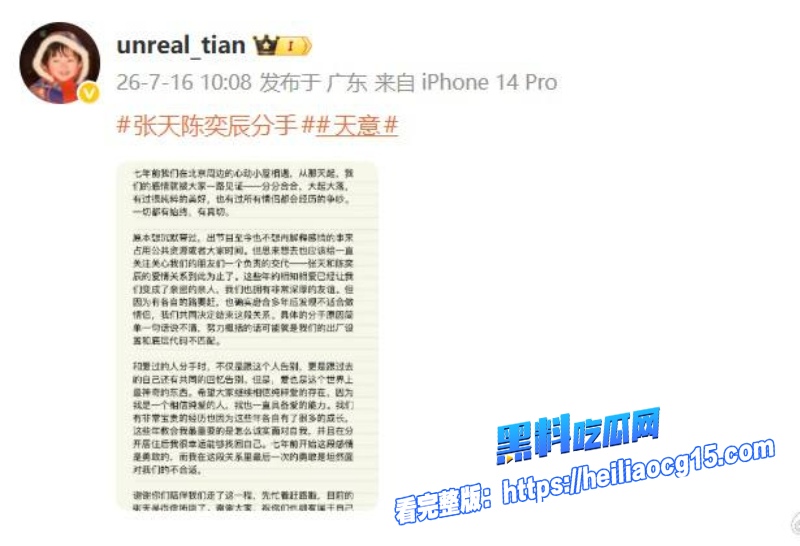 抖音女网红张天11
