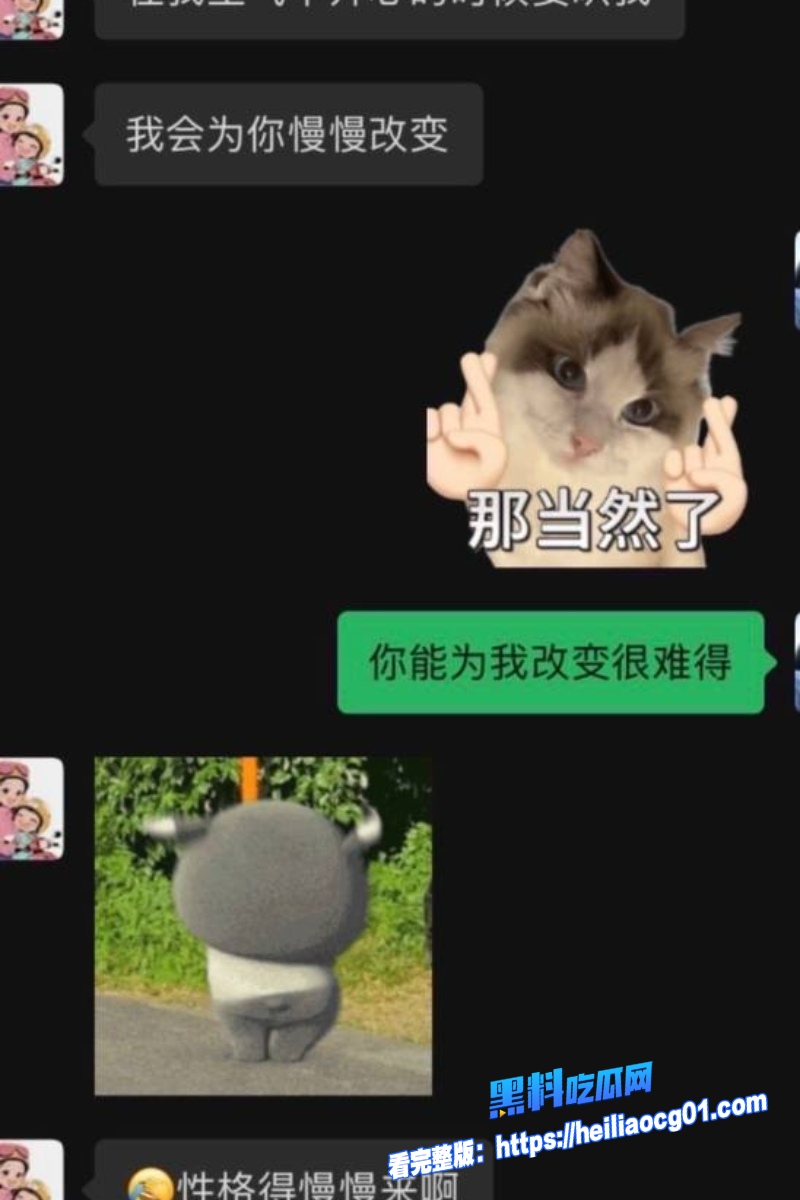 抖音网红麦小登9