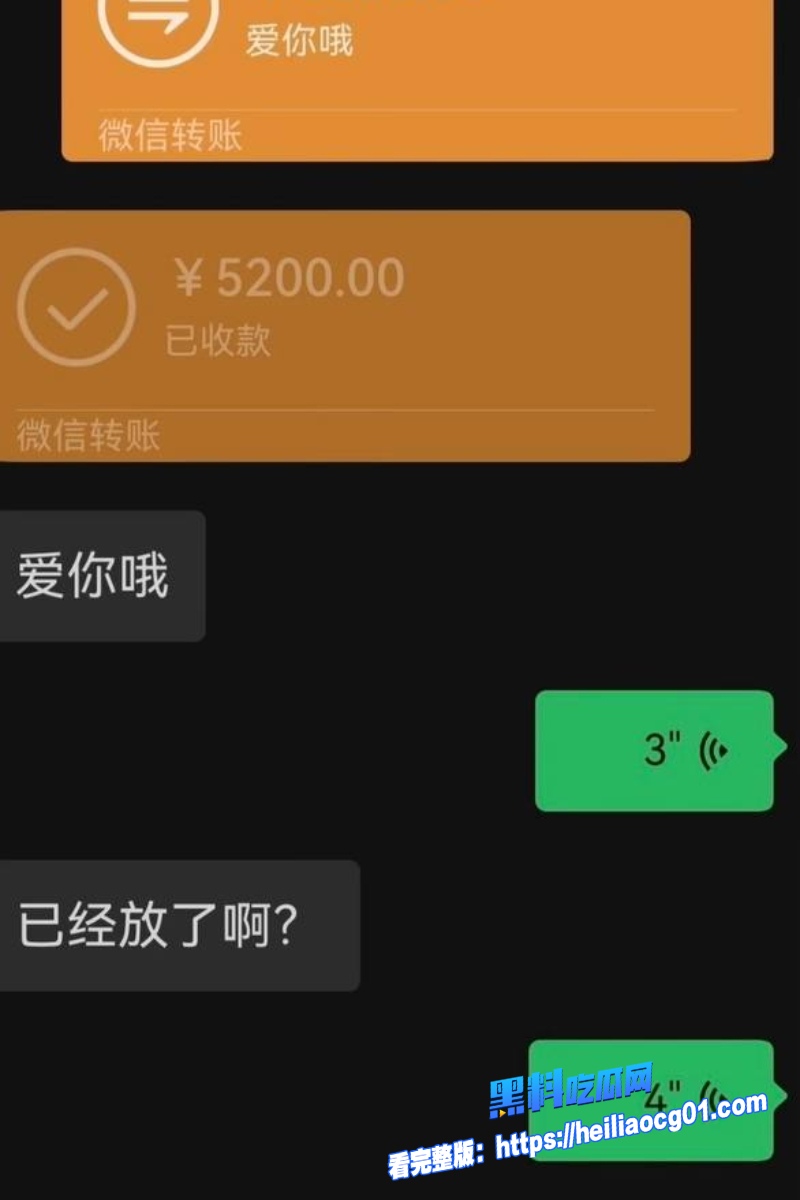 抖音网红麦小登14