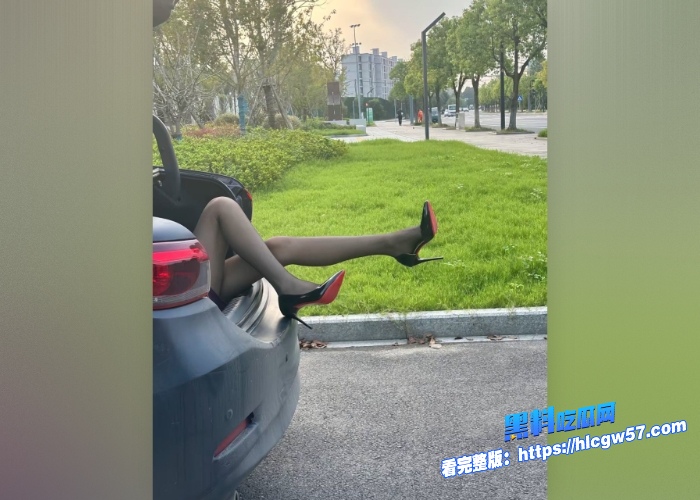 推特高人气反差女神鹿苑户外和粉丝露出车震口交啪啪各种骚话淫语不断对白超精彩 图 19