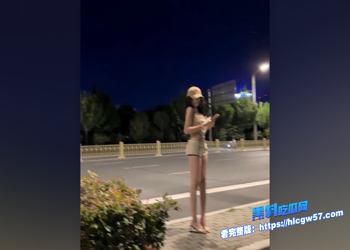 推特高人气反差女神鹿苑户外和粉丝露出车震口交啪啪各种骚话淫语不断对白超精彩 图 43