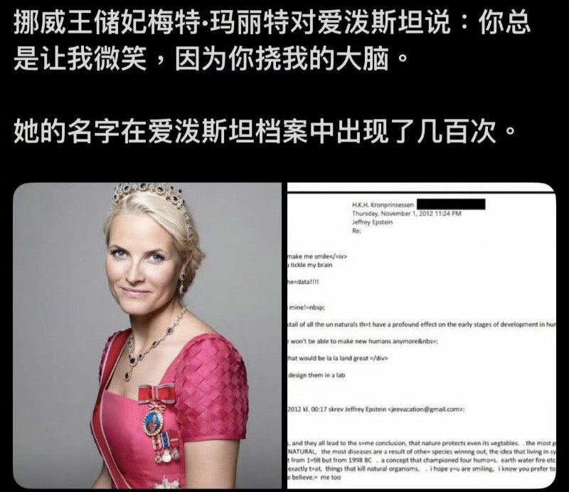 马斯克被女儿爆料曾登爱泼斯坦岛 5