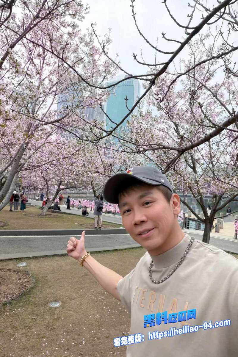 顶流明星陶喆3