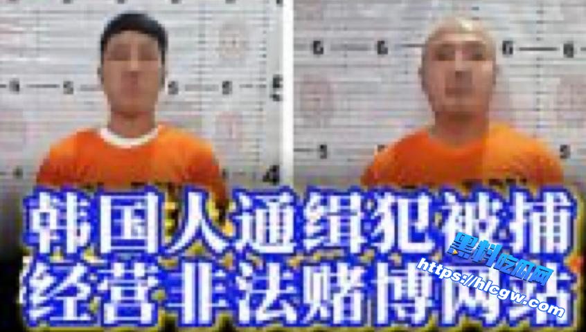 韩国盘总在菲落网,非法获利超35亿韩元01 韩国盘总在菲落网,非法获利超35亿韩元01