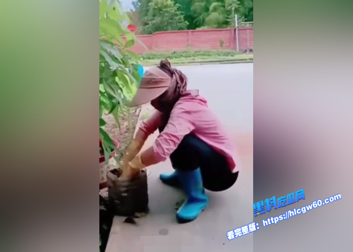 大神乡下勾引农村种地的大姐，套路大姐说直播可以赚钱，让大姐配合啪啪。强脱大姐裤子舔逼 对白精彩1