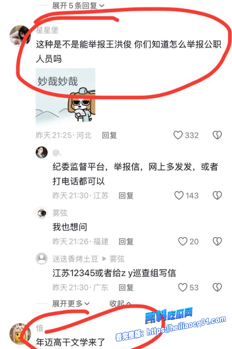 顶流明星白鹿37