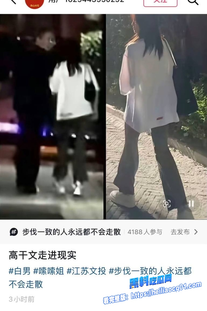 顶流明星白鹿40