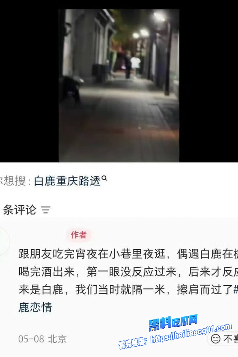 顶流明星白鹿44