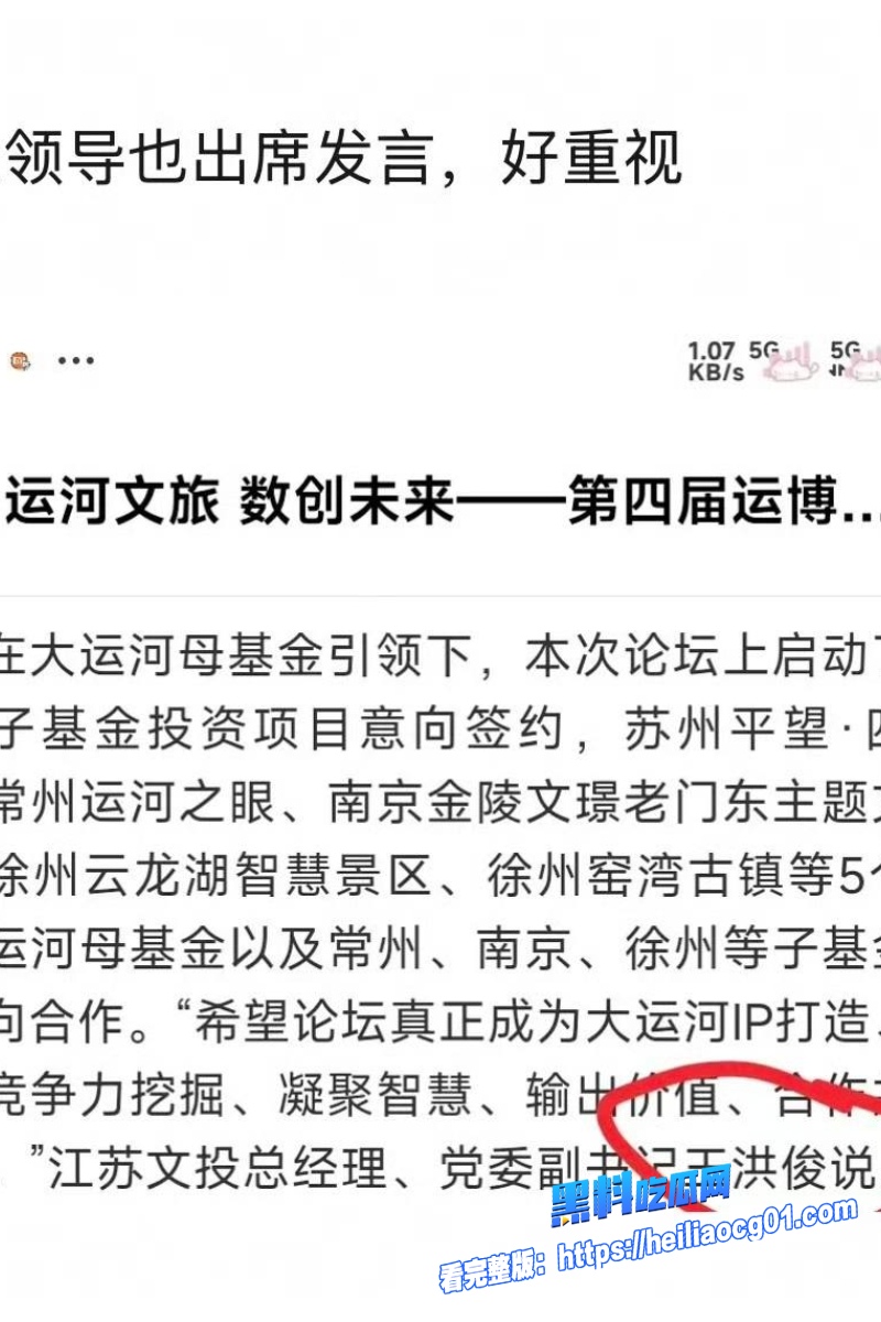 顶流明星白鹿46