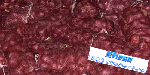 马尼拉拦车意外揪出 130万走私洋葱！幕后货主竟是中国人01
