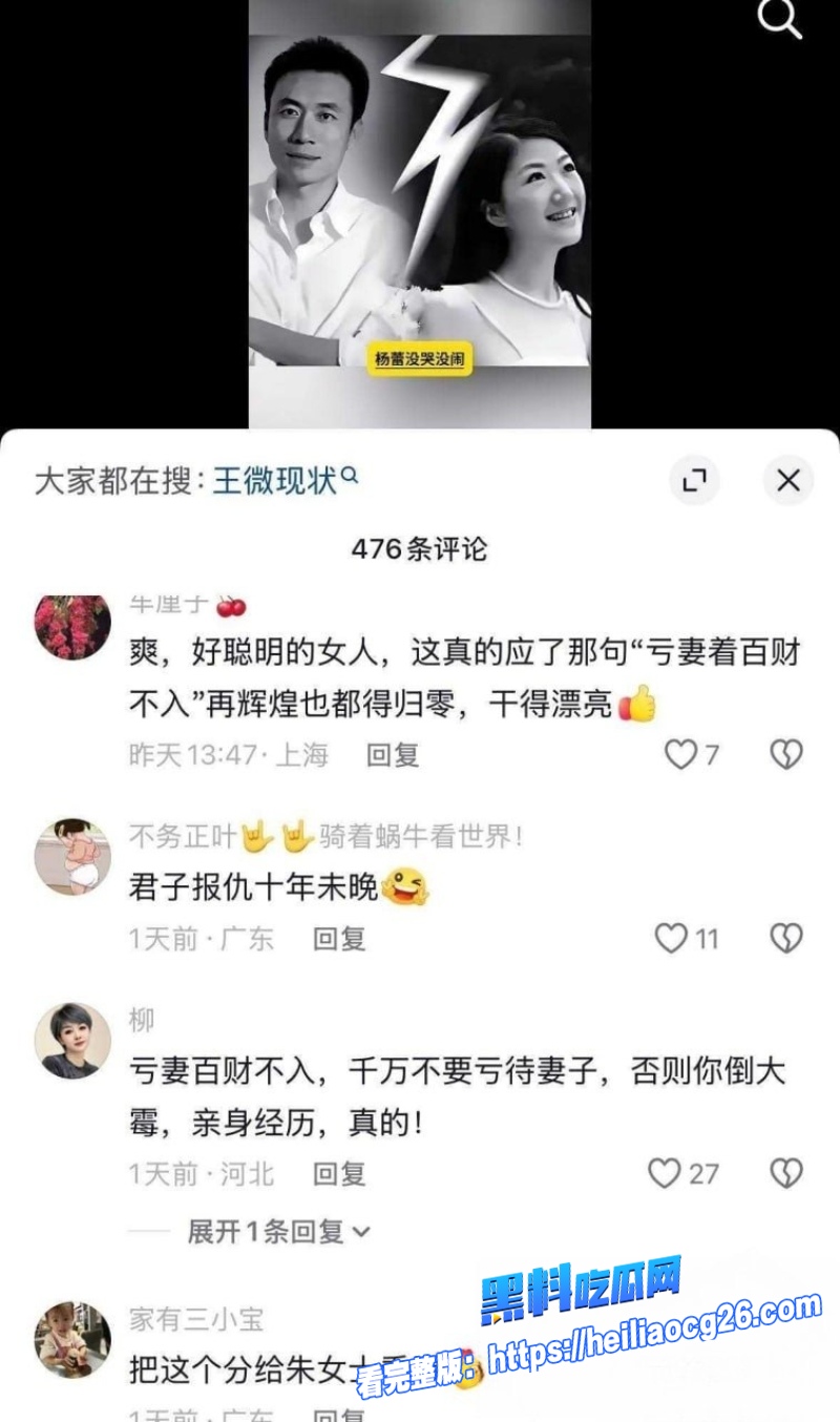土豆网创始人王微9 土豆网创始人王微9